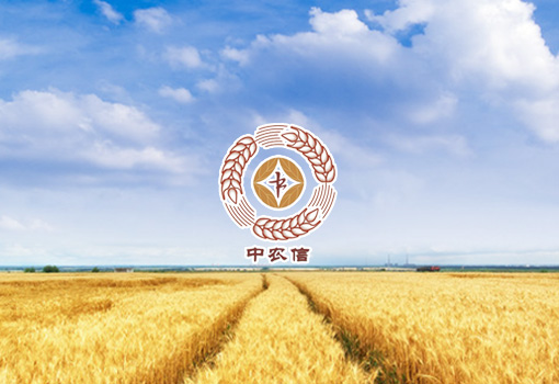 中农信投资